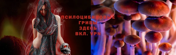 apvp Покров