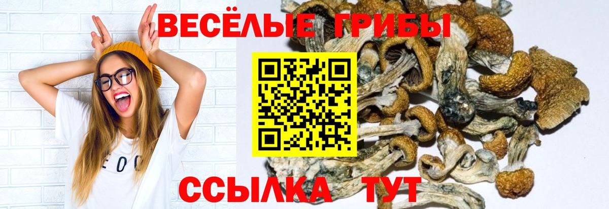 Псилоцибиновые грибы мицелий  Вход с VPN  Сегежа 